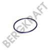 BERGKRAFT BK2881121SP Seal Ring